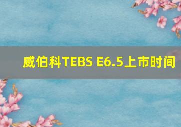 威伯科TEBS E6.5上市时间